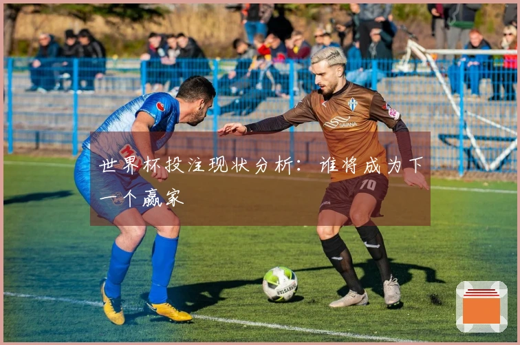 世界杯投注现状分析：谁将成为下一个赢家
