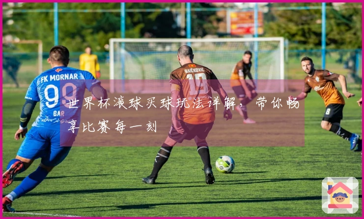世界杯滚球买球玩法详解，带你畅享比赛每一刻