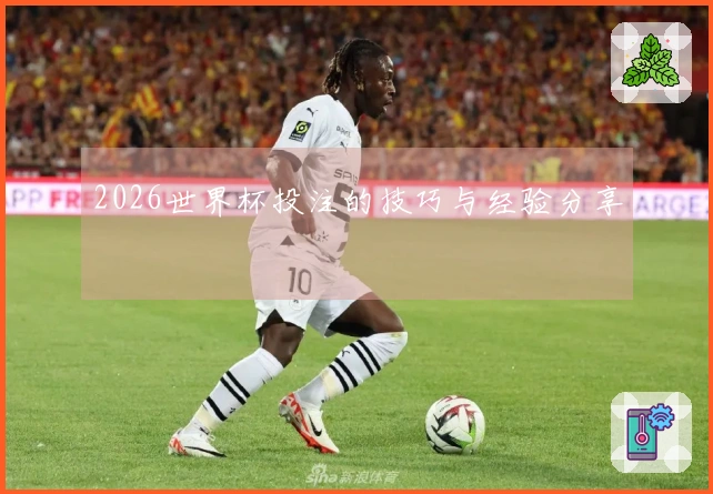 2026世界杯投注的技巧与经验分享