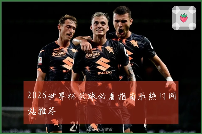2026世界杯买球必看指南和热门网站推荐