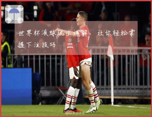 世界杯滚球玩法详解，让你轻松掌握下注技巧