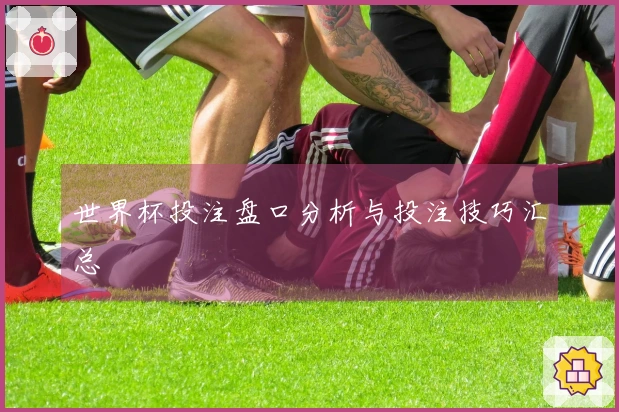 世界杯投注盘口分析与投注技巧汇总