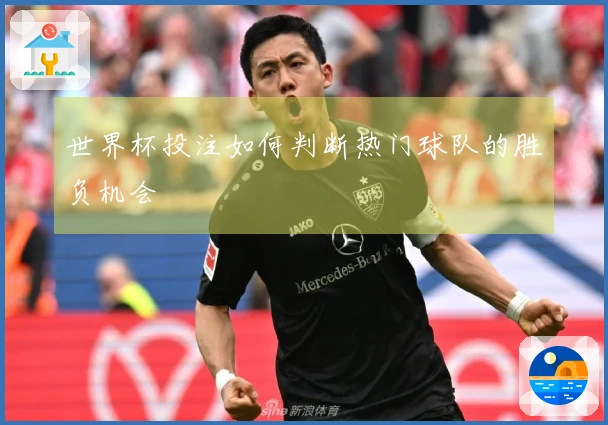 世界杯投注如何判断热门球队的胜负机会